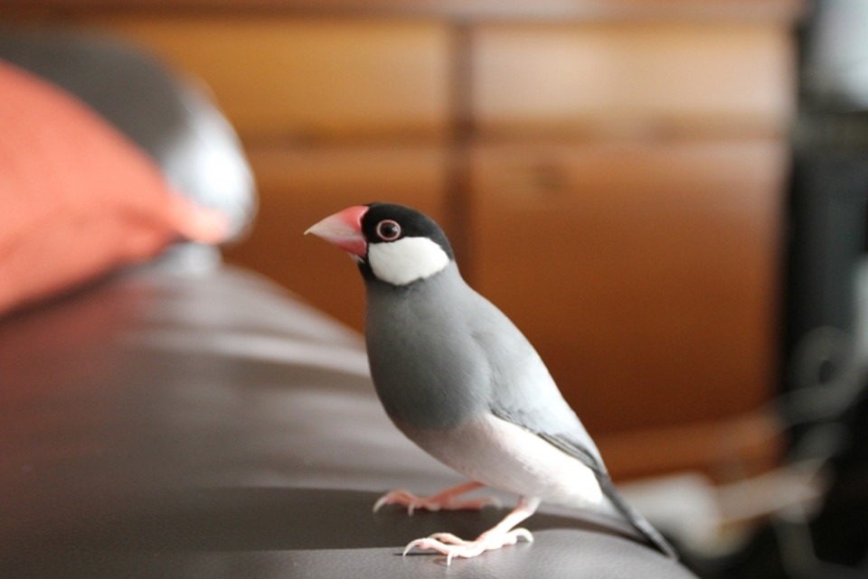 声と体の動きのバランスが生命の共鳴を生み出す