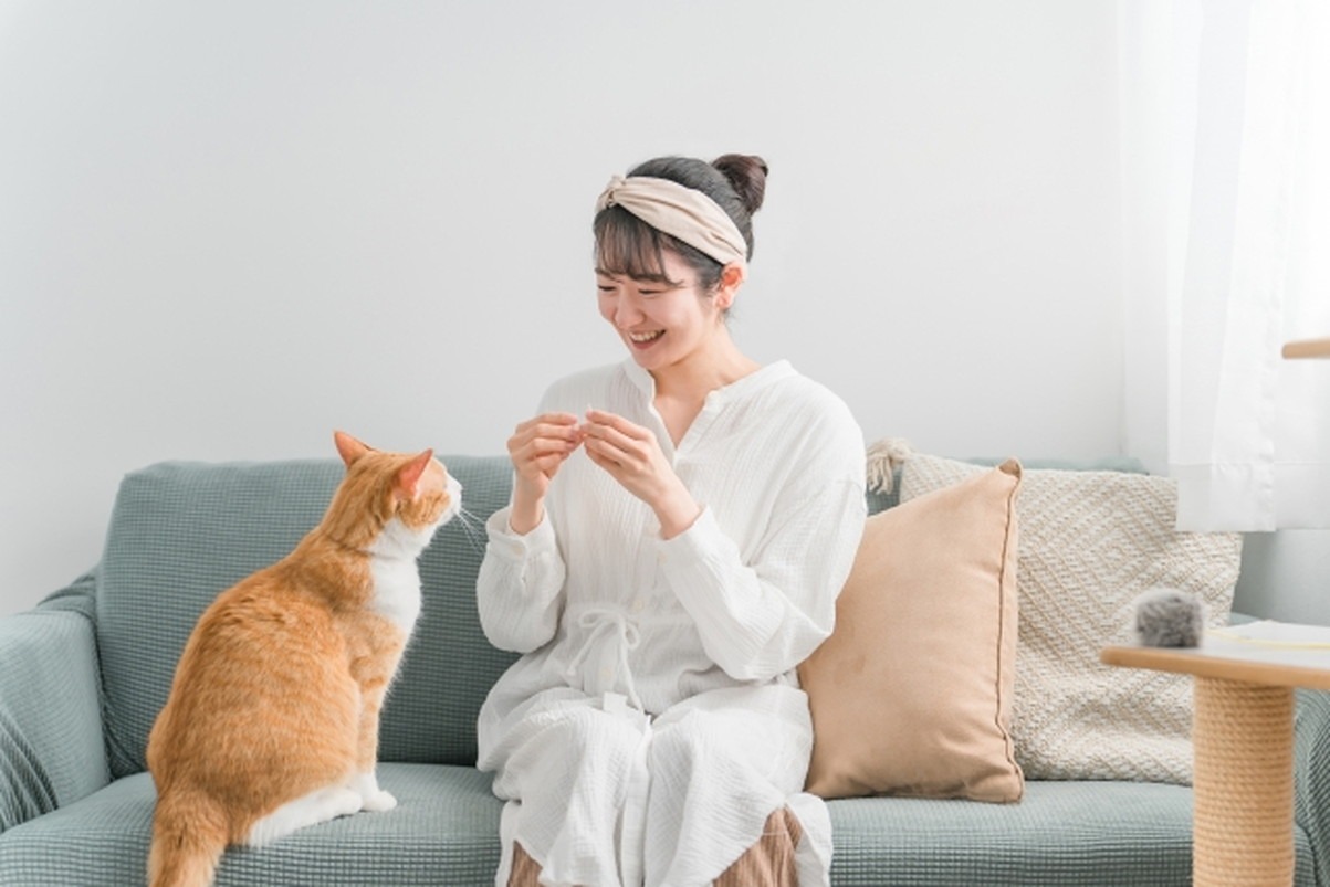 猫のキャットフードのおすすめを見る基準を、低脂肪・高繊維から始めてみては？ - 健康状態を改善・維持する獣医療法食