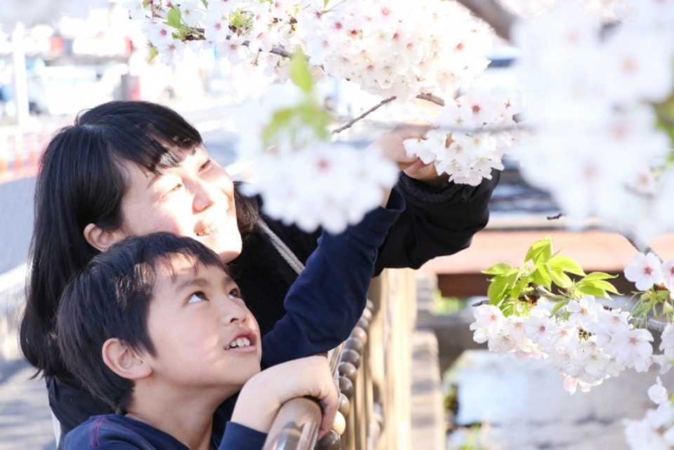 しつけの方法の変化とその背景