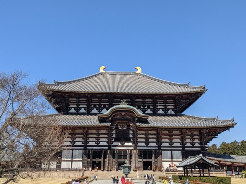 東大寺大仏殿の建築と歴史について