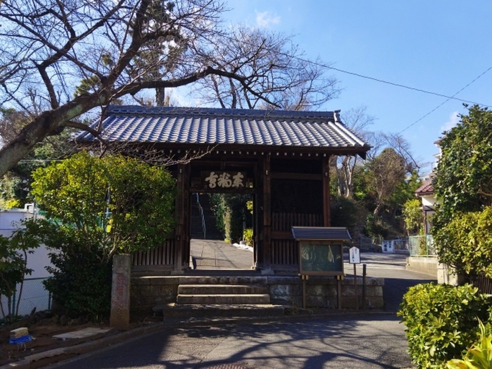 禅の哲学と宇宙意識の関係