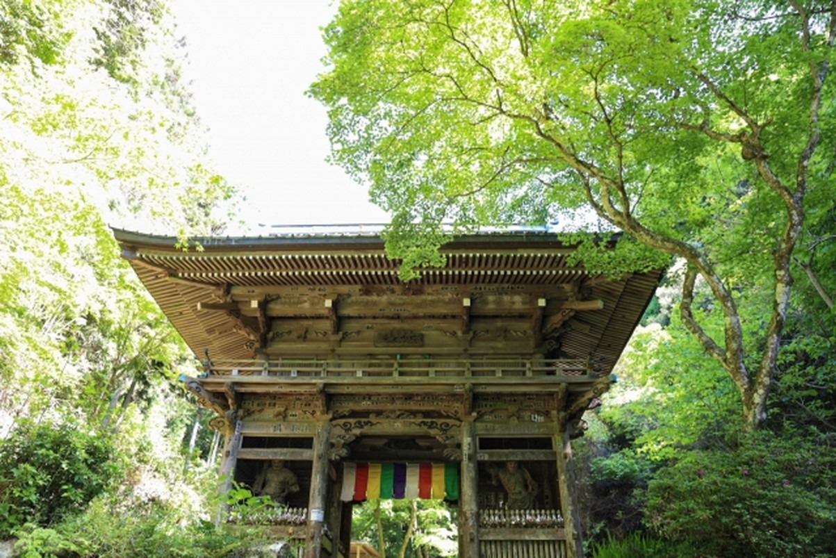 施福寺の歴史と未来を紡ぐ伝説、信仰、そして未解明の謎