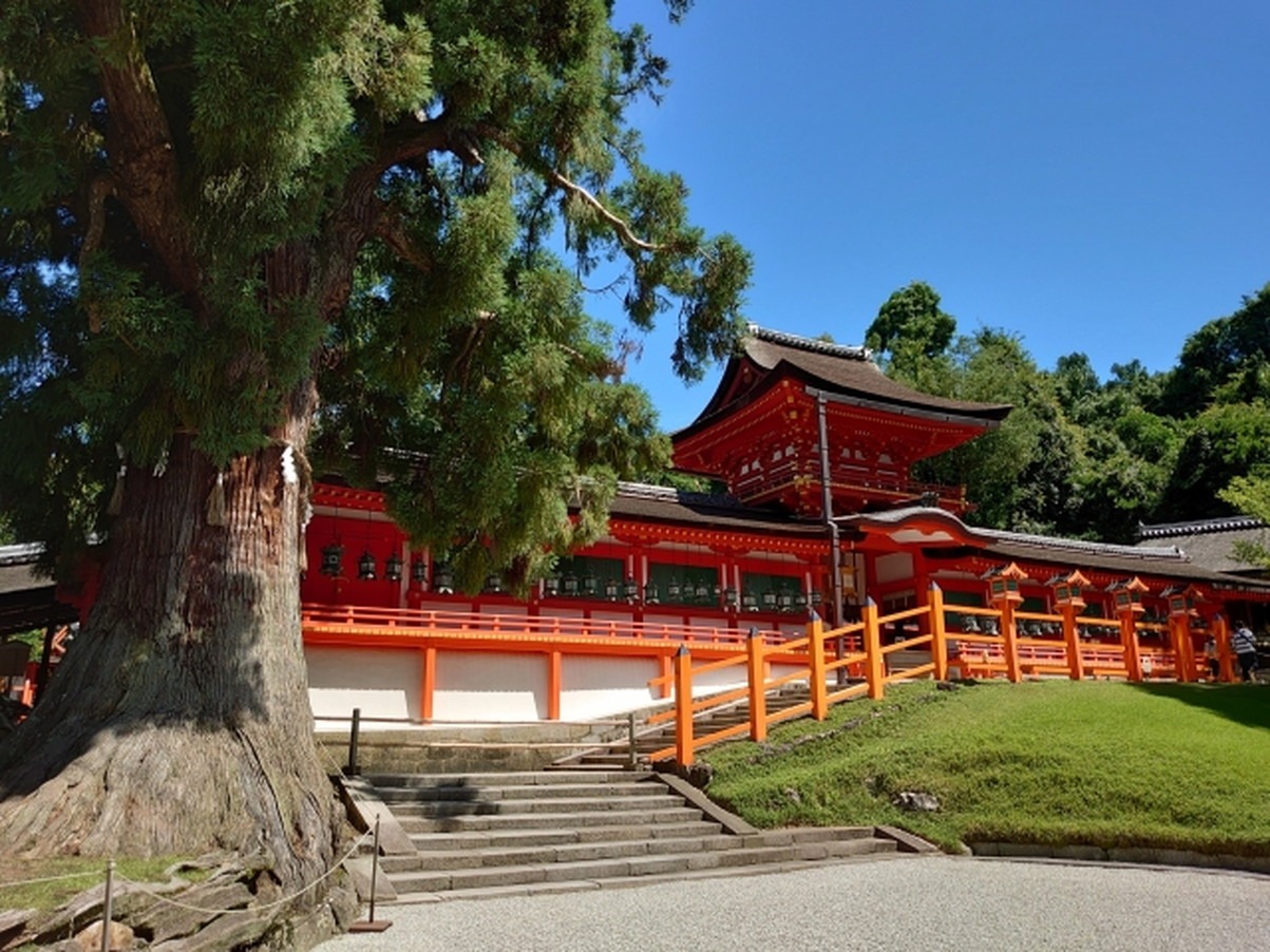 春日大社に関わる白鹿の神話が語るもの