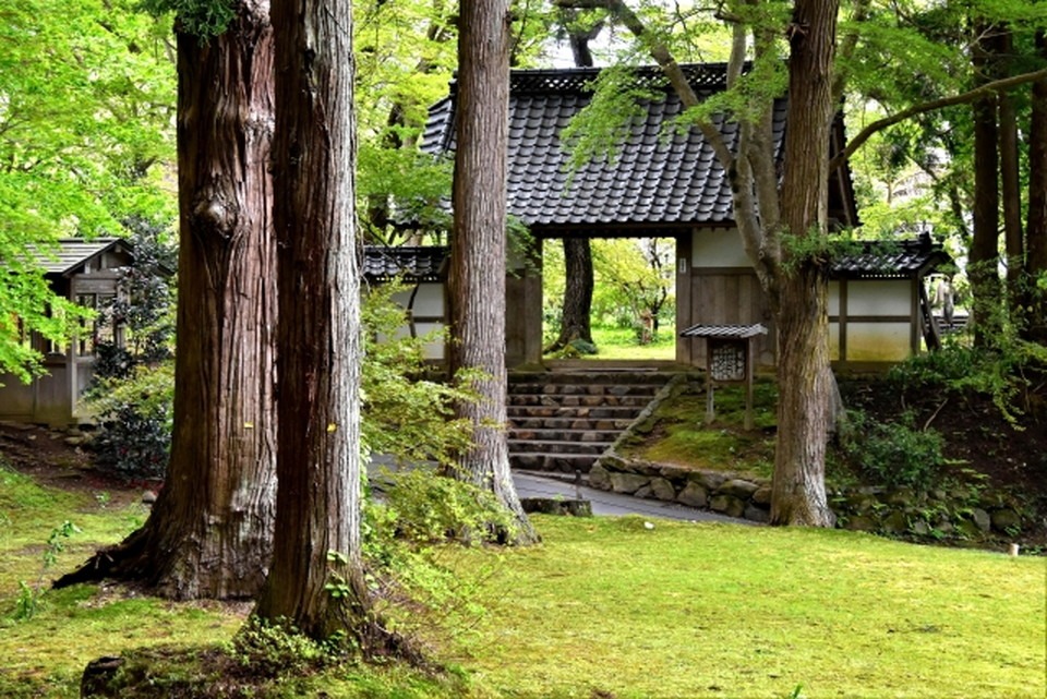 中尊寺の建築技術と自然環境の調和について