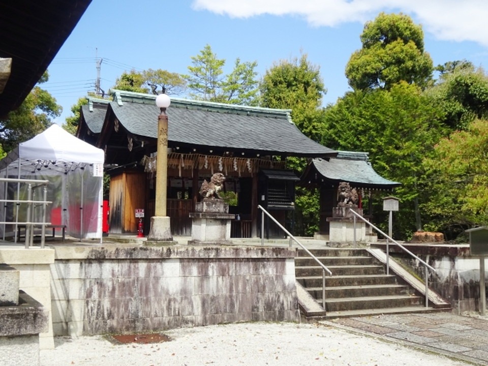 敷地神社と「力石」の信仰 - 歴史と人々のつながり